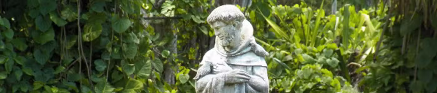 bird bath saint francis