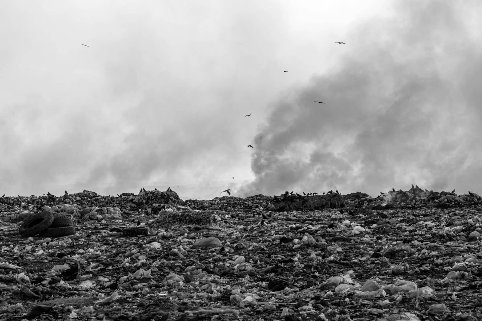 landfill image by Collab Media on Unsplash
