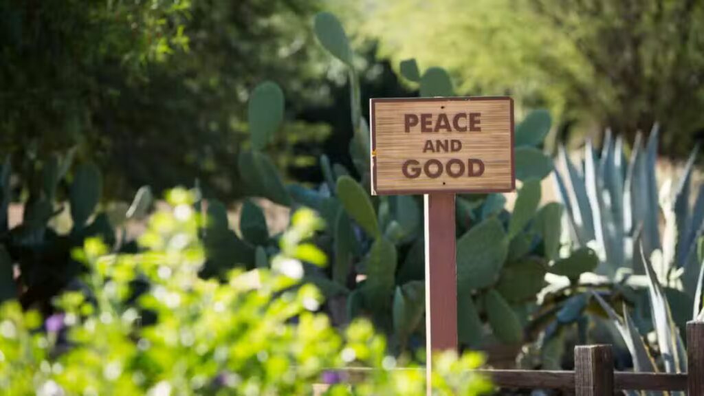 Peace and Good sign