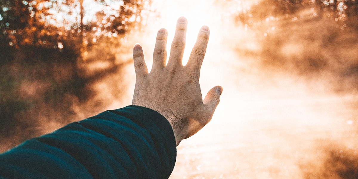 hand reaching for a light with forest in the background