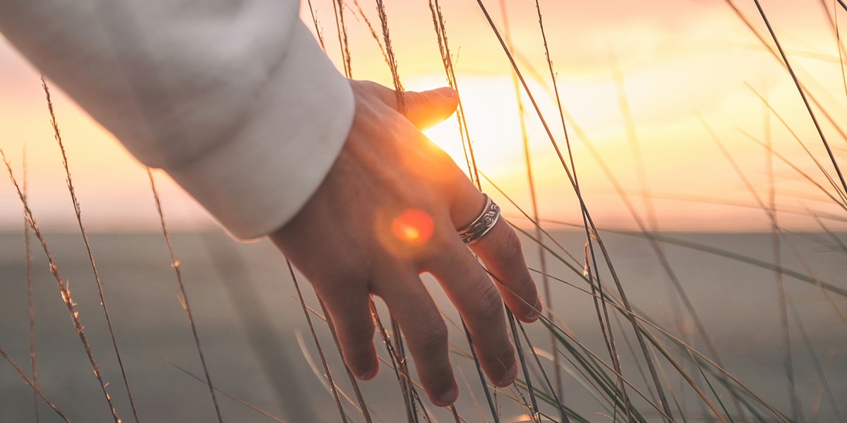 hand feeling through grass during sunset