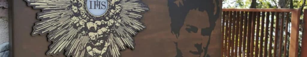 Drawing of Bl. Carlo Acutis