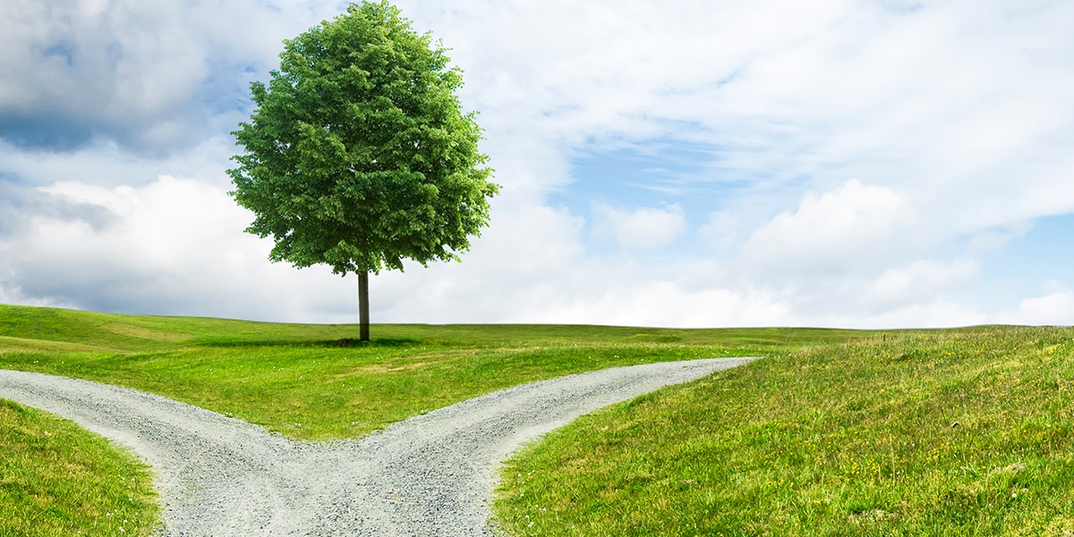 A path splitting in two different directions