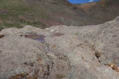 First-Altar-10