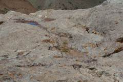 First-Altar-3
