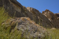 Fossils-12