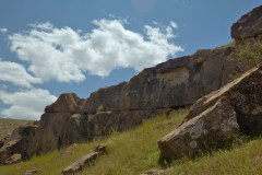 Fossils-14