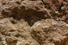 Fossils-3