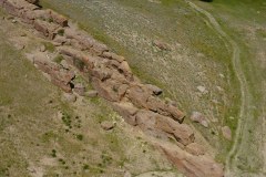 Fossils-4