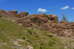 Fossils-5
