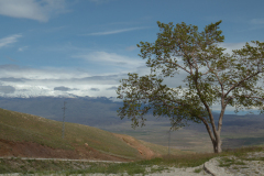 Mountains-of-Ararat-1