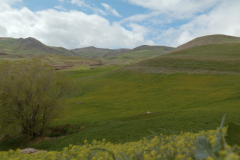 Mountains-of-Ararat-2