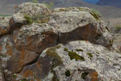 Rock-Nearby-1