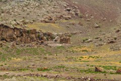 Rock-Nearby-7