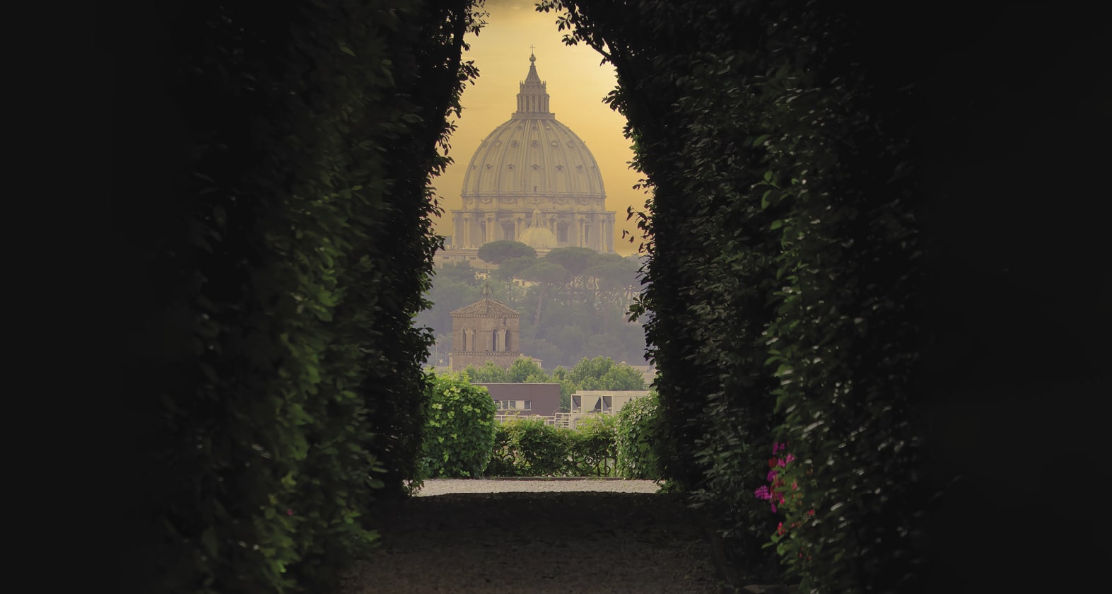 A view of the Vatican